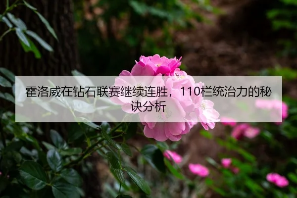 霍洛威在钻石联赛继续连胜，110栏统治力的秘诀分析