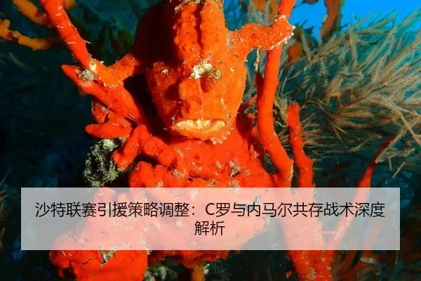 sha-te-lian-sai-yin-yuan-ce-lve-tiao-zheng-luo-yu-nei-ma-er-gong-cun-zhan-shu-shen-du-jie-xi-2-412.jpg
