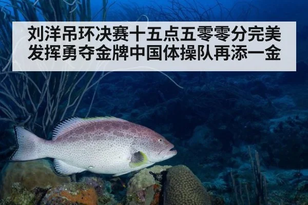 刘洋吊环决赛十五点五零零分完美发挥勇夺金牌中国体操队再添一金